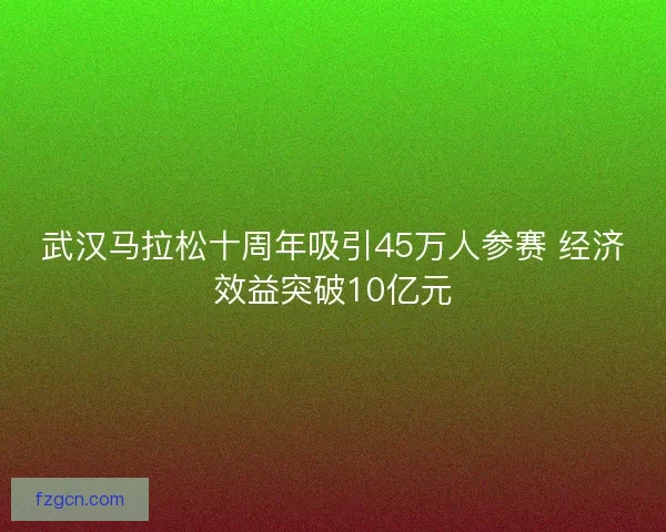 武汉马拉松十周年吸引45万人参赛 经济效益突破10亿元